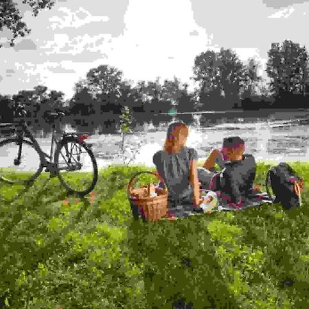 Ferienwohnung Rheinzabern - 4 Sterne Eksteriør bilde